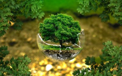 Autorizzazione Unica Ambientale (AUA)